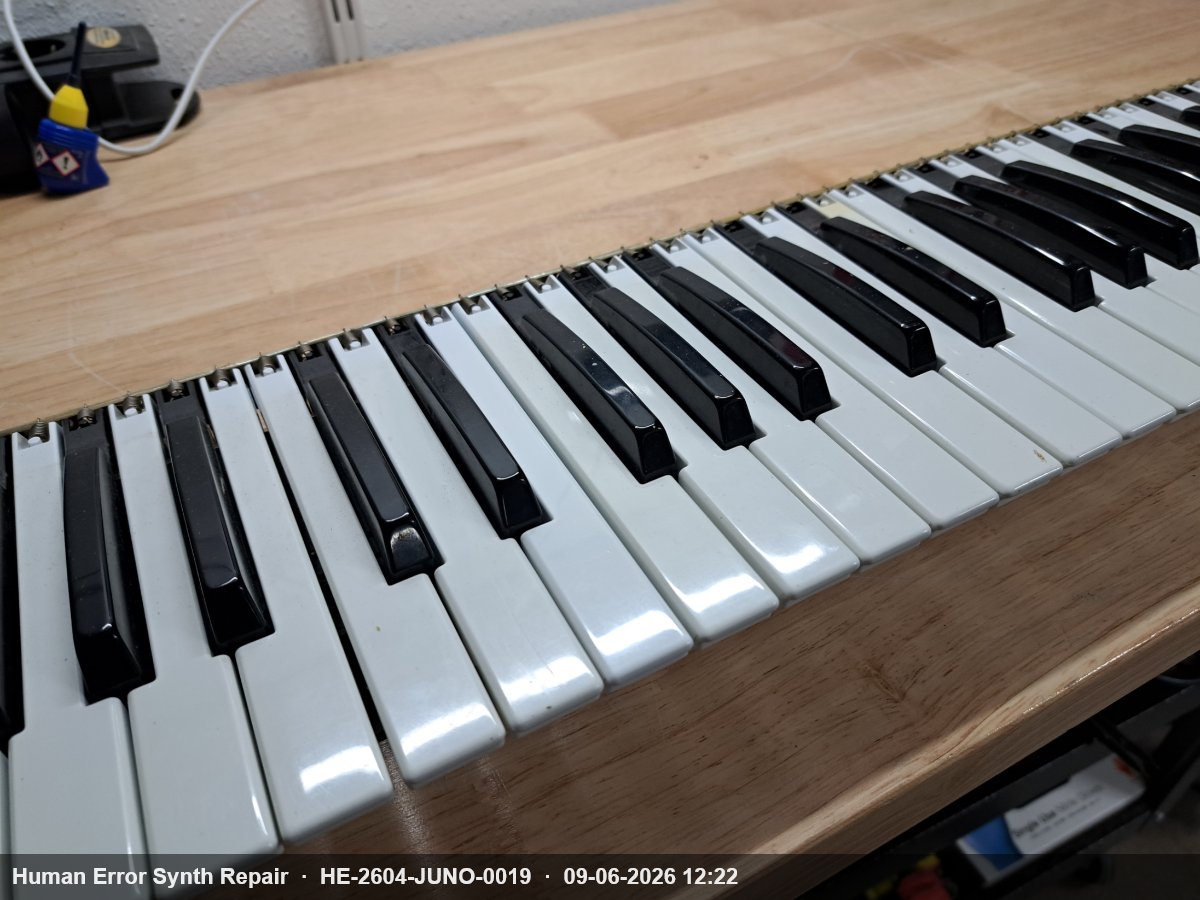 Het keybed van de Roland Juno-60 op de werkbank, met een volledig aansluitende rij witte en zwarte toetsen.