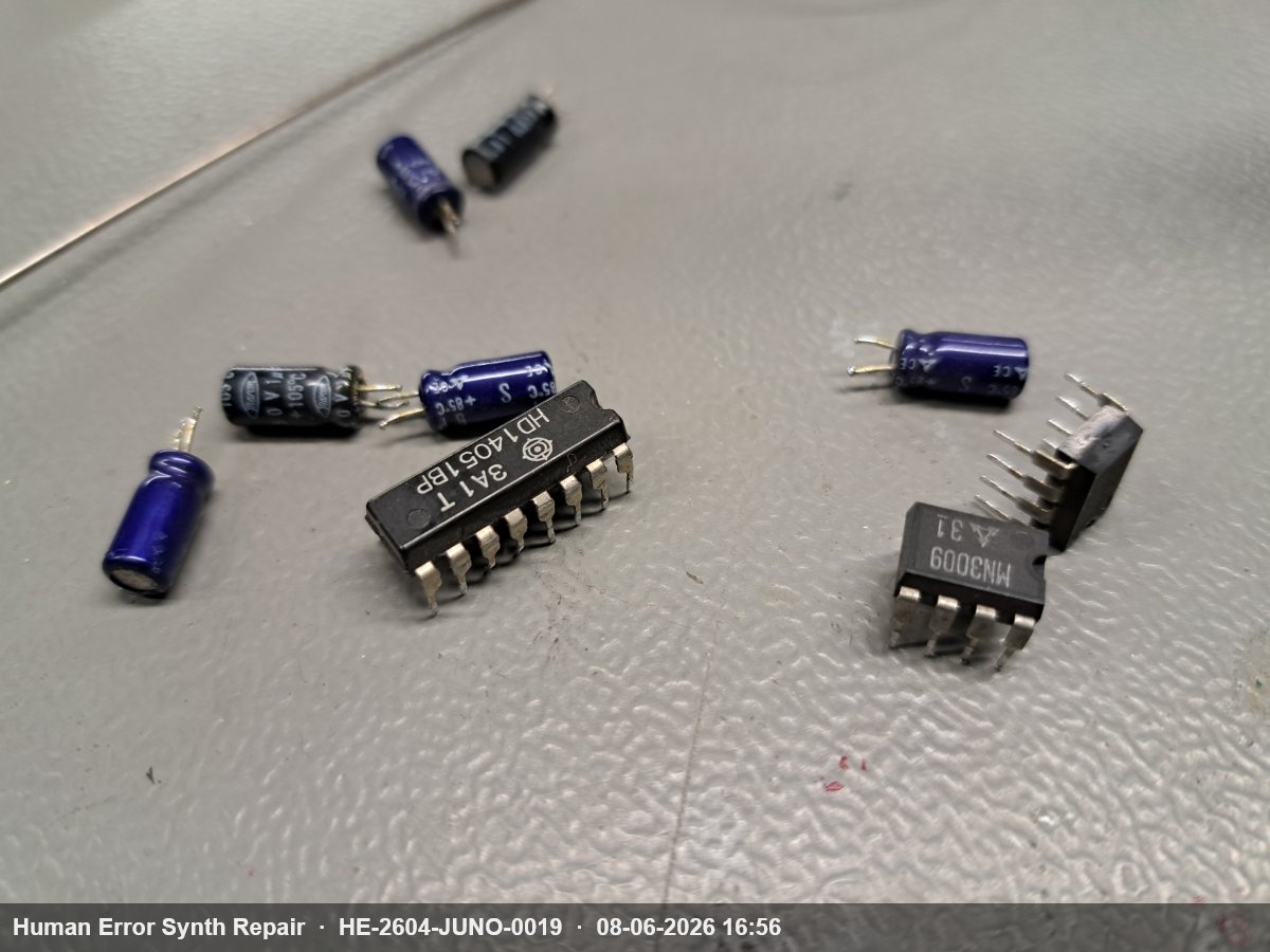 Verwijderde componenten op een grijze ondergrond: HD14051BP multiplexer, twee MN3009 BBD IC's en meerdere blauwe elektrolytische condensatoren.
